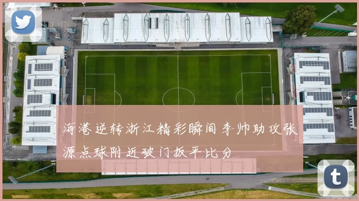 海港逆转浙江精彩瞬间李帅助攻张源点球附近破门扳平比分