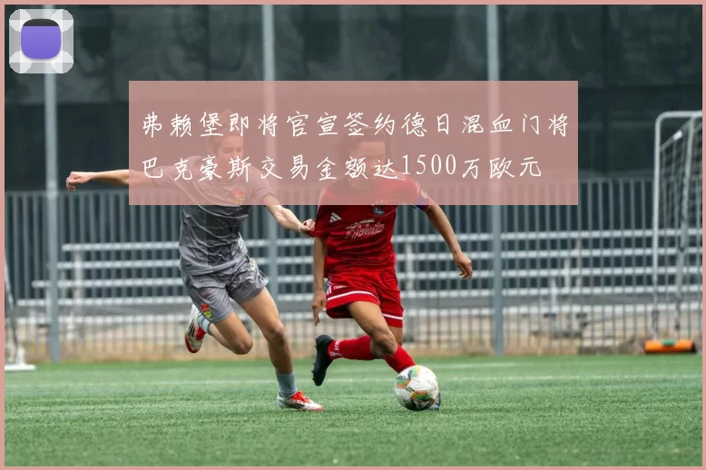 弗赖堡即将官宣签约德日混血门将巴克豪斯交易金额达1500万欧元