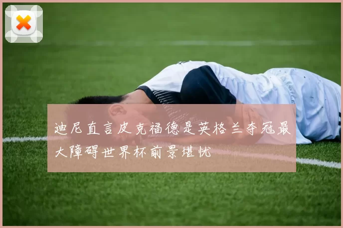 迪尼直言皮克福德是英格兰夺冠最大障碍世界杯前景堪忧