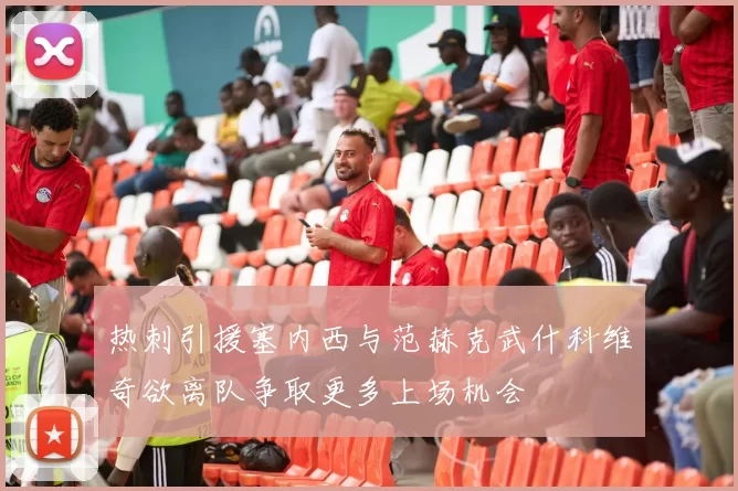 热刺引援塞内西与范赫克武什科维奇欲离队争取更多上场机会